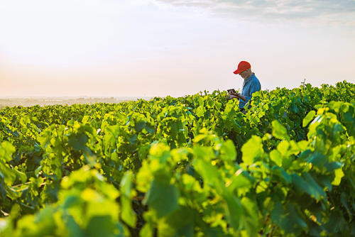 FBN是什么意思？跟亞馬遜FBA、FBM有什么關聯？